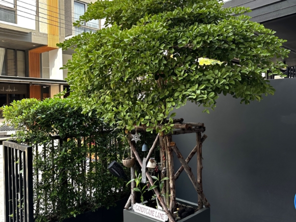91.Moo Baan Shizen on Pattanakarn 32_313sqm_4b5b_95K_009