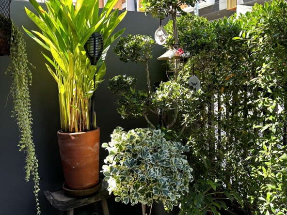 91.Moo Baan Shizen on Pattanakarn 32_313sqm_4b5b_95K_011